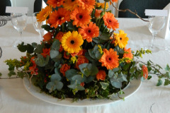 DSCN0058
